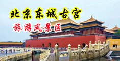 女生下面视频免费观看海外网站中国北京-东城古宫旅游风景区